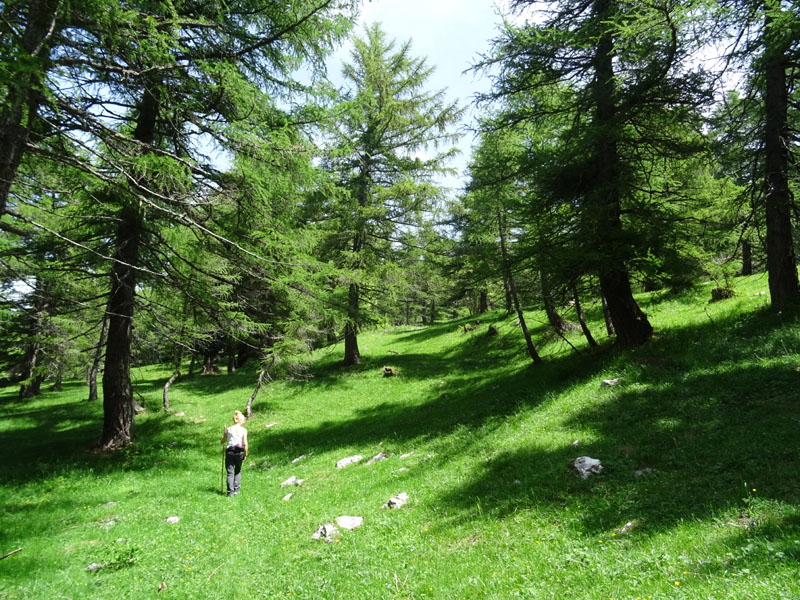 Becco della Ceriola e Cima del Campigolt......Vigolana